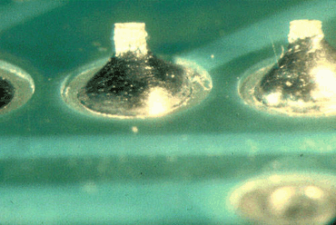 Figure 6: While the pad wetting is satisfactory, the component leads show poor wetting
